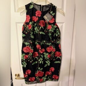 Haute Fox Embroidered Sheer Panel Dress 1X